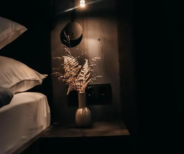 Dağ evi Onkl Xonna Premium Alpin Hüttschlag